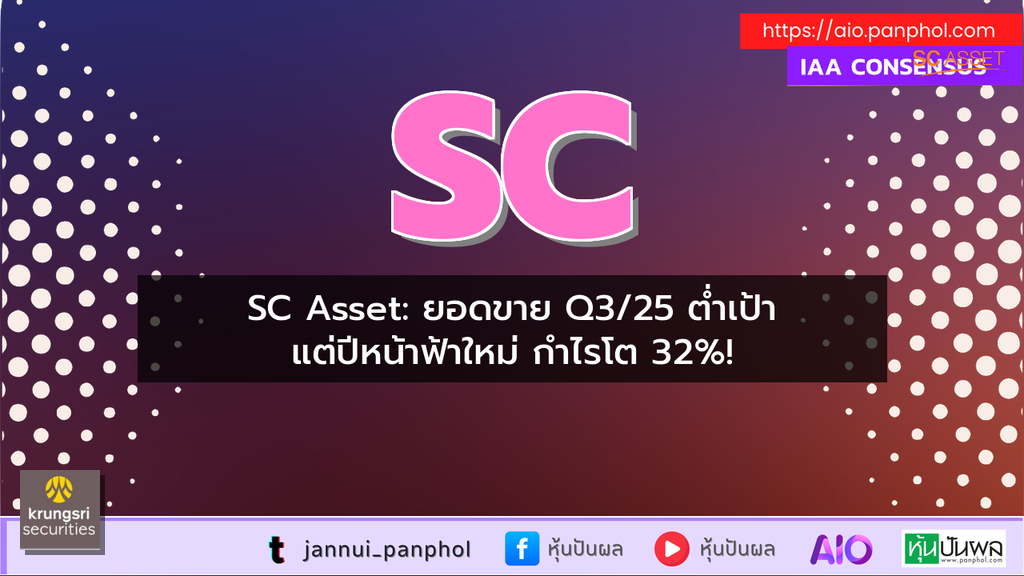 https://aio.panphol.com/assets/images/community/10891_083A65.png