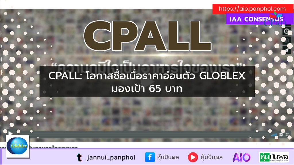 https://aio.panphol.com/assets/images/community/11119_81FB37.png