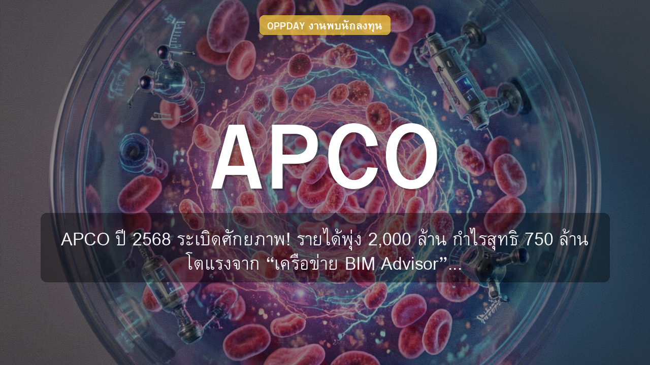 https://aio.panphol.com/assets/images/community/13580_7C7399.png