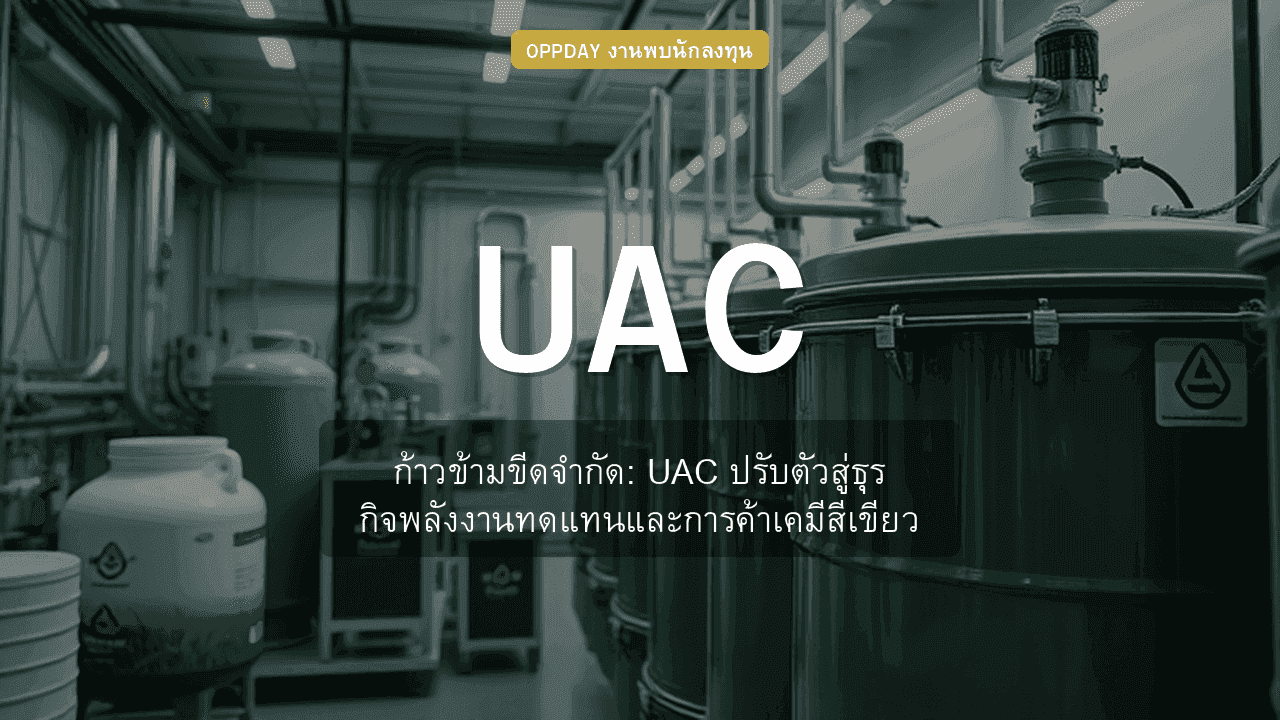 https://aio.panphol.com/assets/images/community/15349_6A8042.png