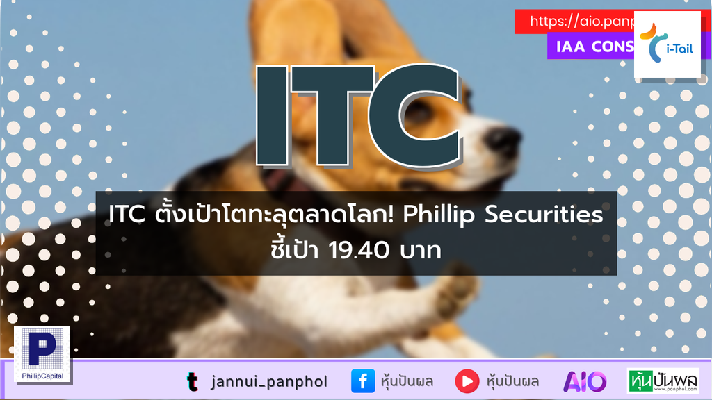 https://aio.panphol.com/assets/images/community/15431_91597A.png