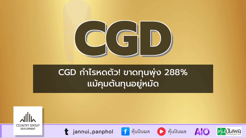 https://aio.panphol.com/assets/images/community/16336_7CA520.png