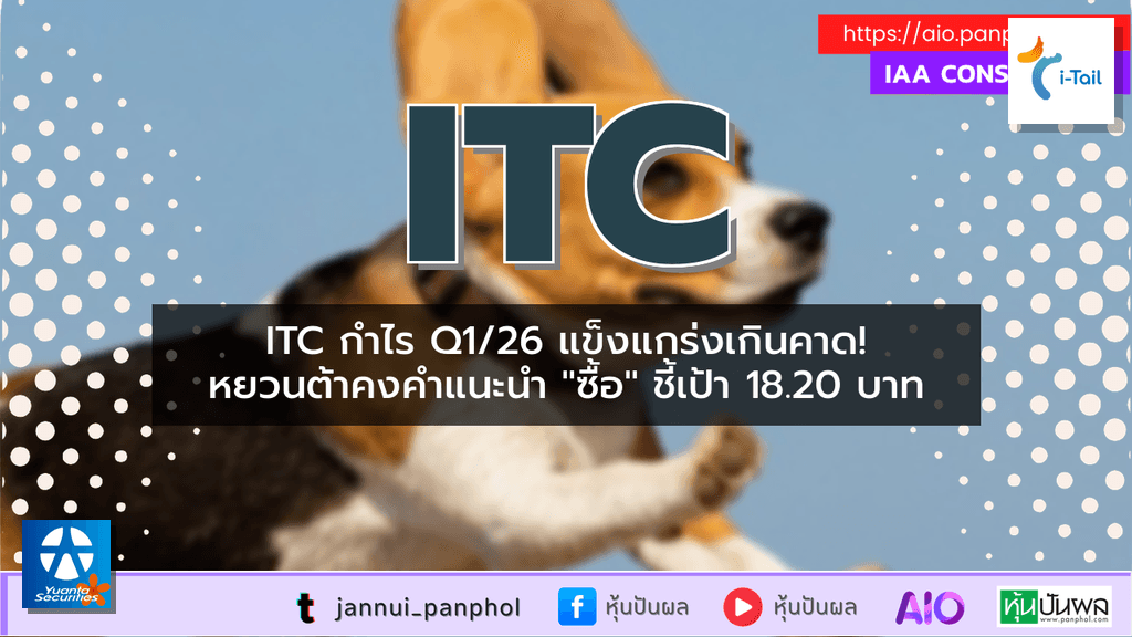 https://aio.panphol.com/assets/images/community/17371_4A1116.png