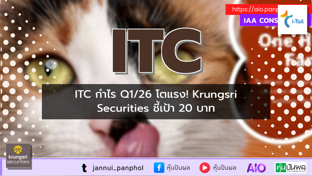 https://aio.panphol.com/assets/images/community/17834_A9145D.png