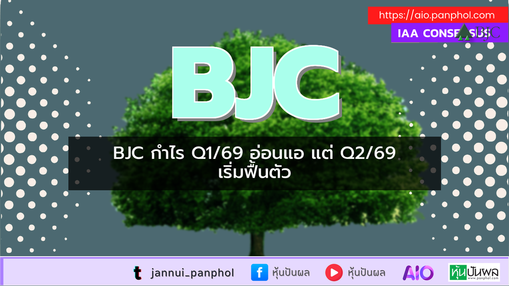 https://aio.panphol.com/assets/images/community/19065_8A5C91.png