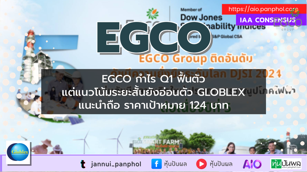 https://aio.panphol.com/assets/images/community/19331_4B1383.png