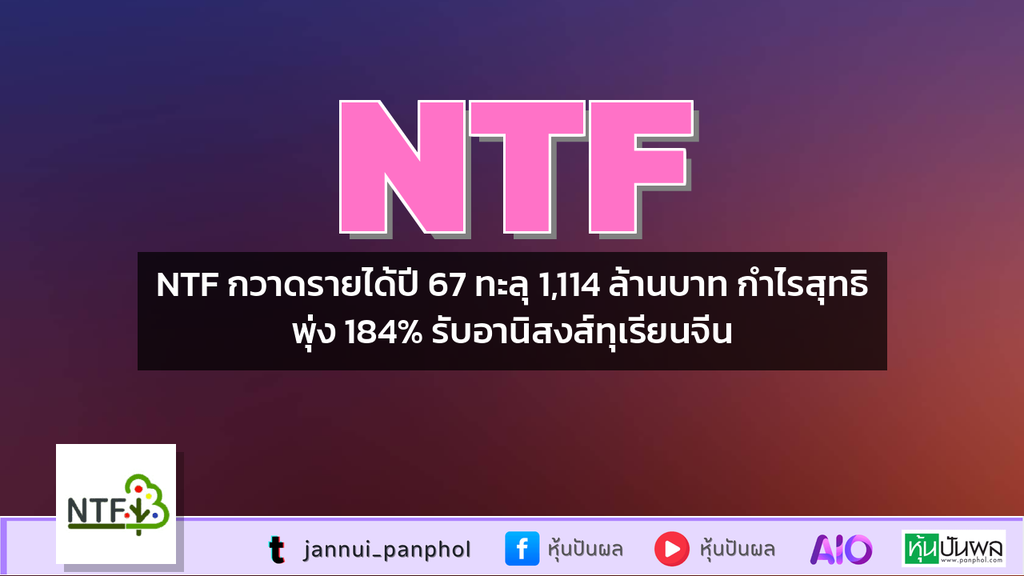 NTF กวาดรายได้ปี 67 ทะลุ 1,114 ล้านบาท กำไรสุทธิพุ่ง 184% รับอานิสงส์ทุเรียนจีน