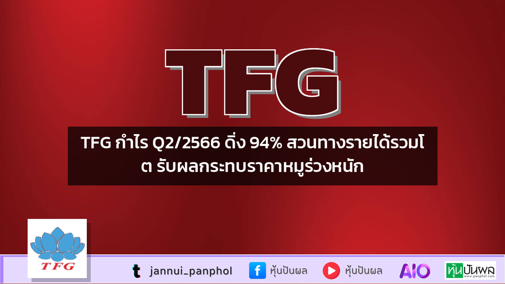 TFG กำไร Q2/2566 ดิ่ง 94% สวนทางรายได้รวมโต รับผลกระทบราคาหมูร่วงหนัก