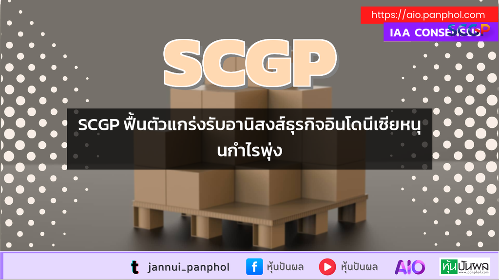 SCGP ฟื้นตัวแกร่งรับอานิสงส์ธุรกิจอินโดนีเซียหนุนกำไรพุ่ง